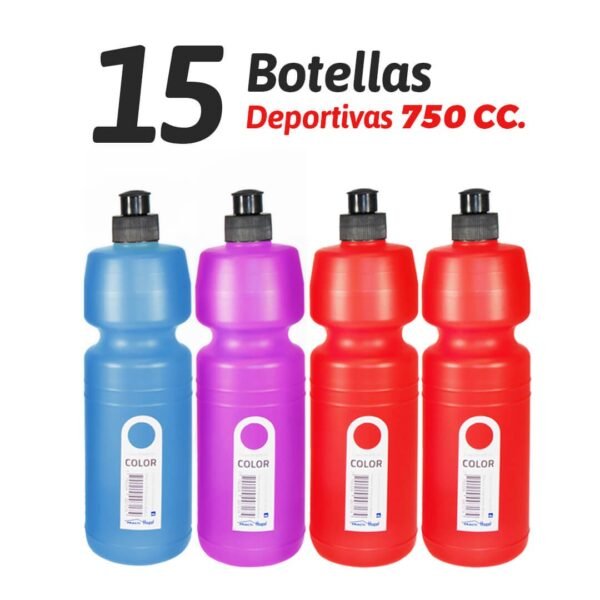Set de 15 botellas: 750cc